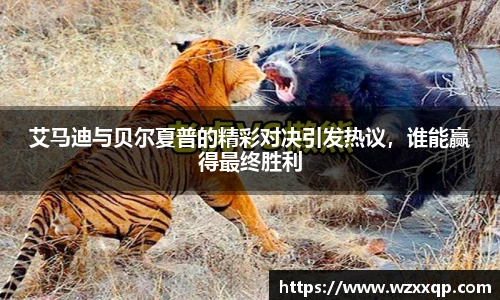 BB贝博艾弗森全站